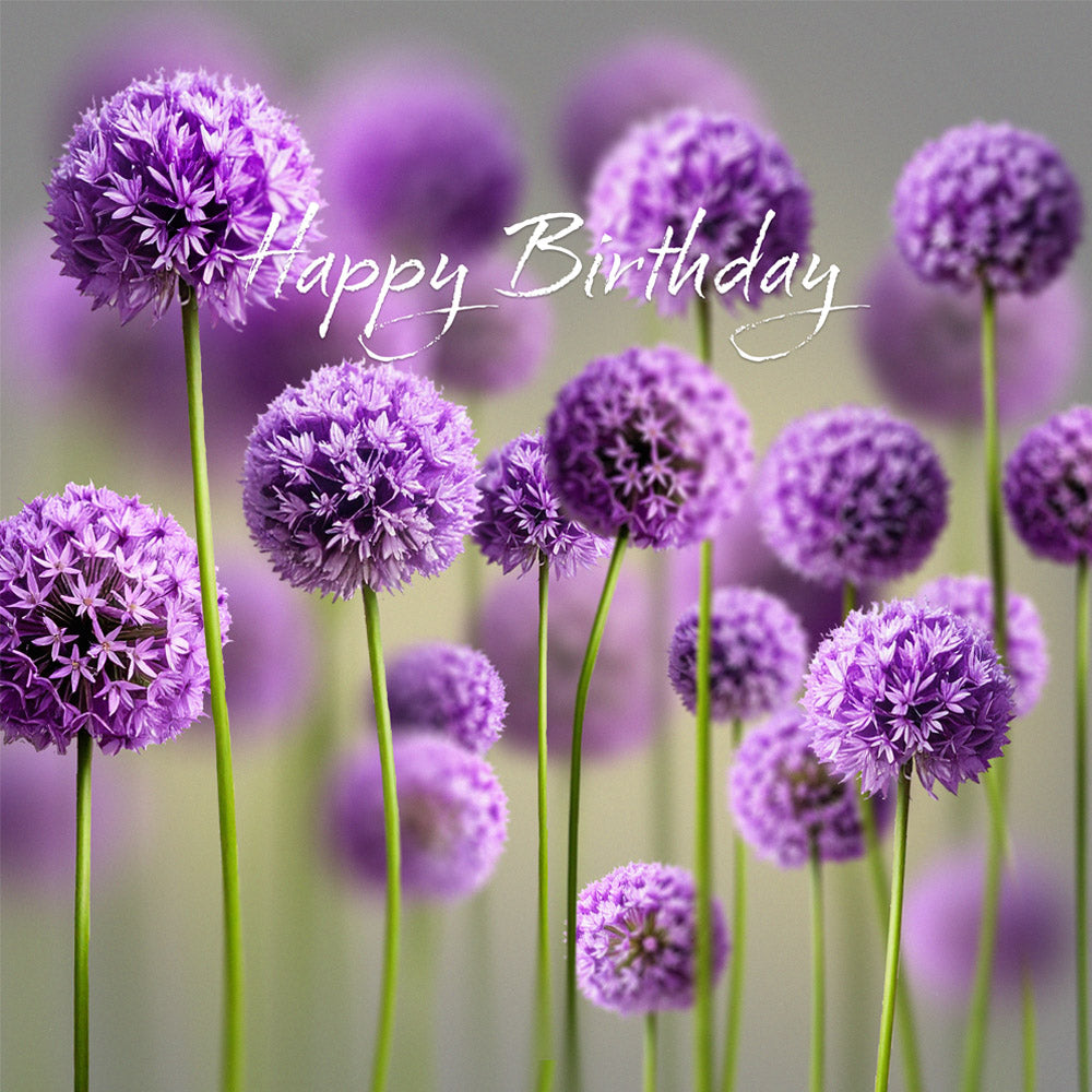 Alliums Birthday