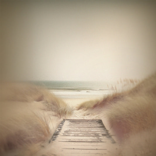 Boardwalk print