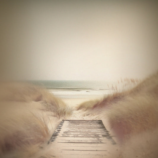 Boardwalk to the beach