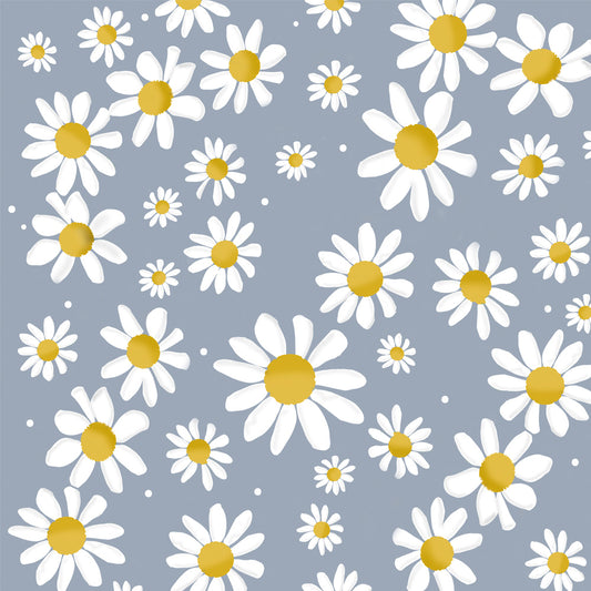 Daisies in soft blue