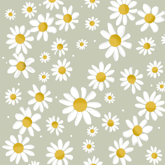 Daisies in sage green