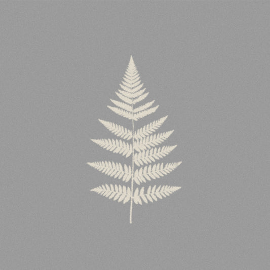 Fern on grey