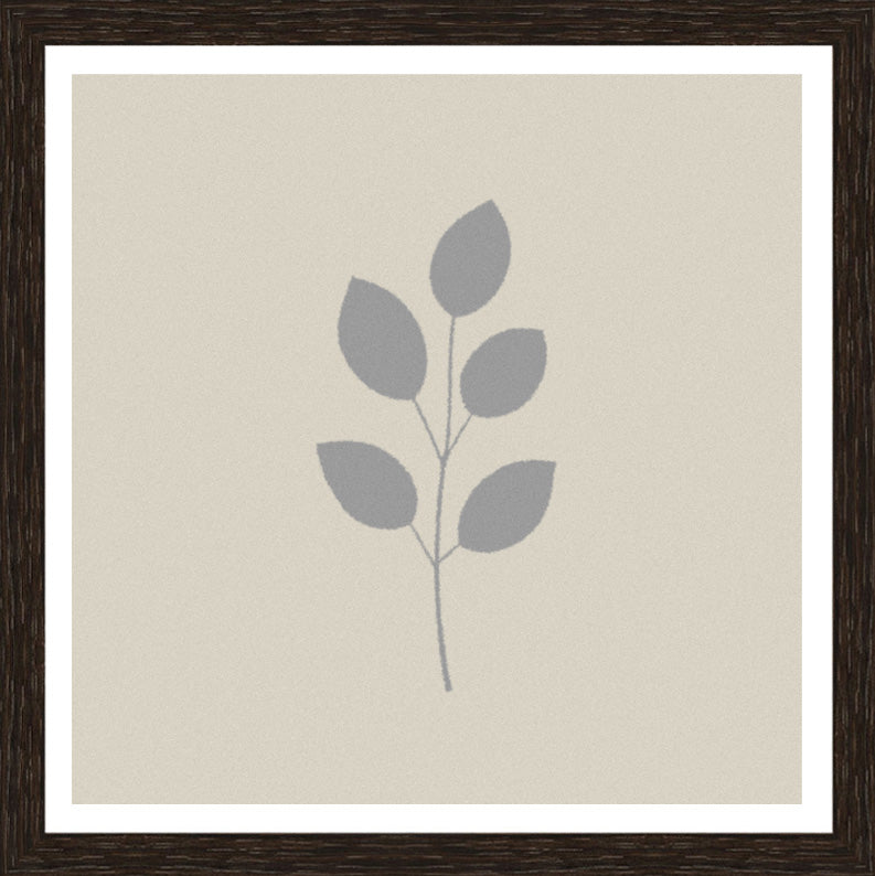 Wenge