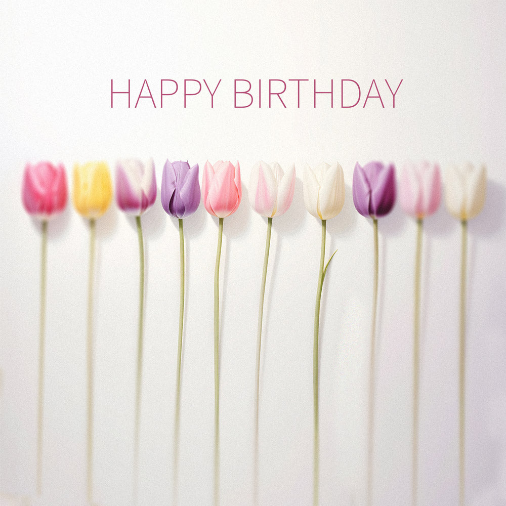 Line of Tulips