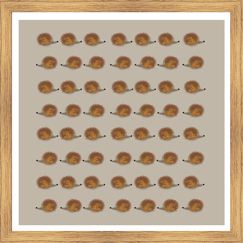 Oak Foil