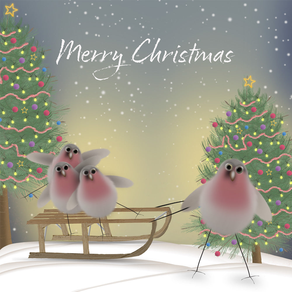 The Little Robins Family