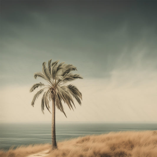 Onshore wind along the coastal path