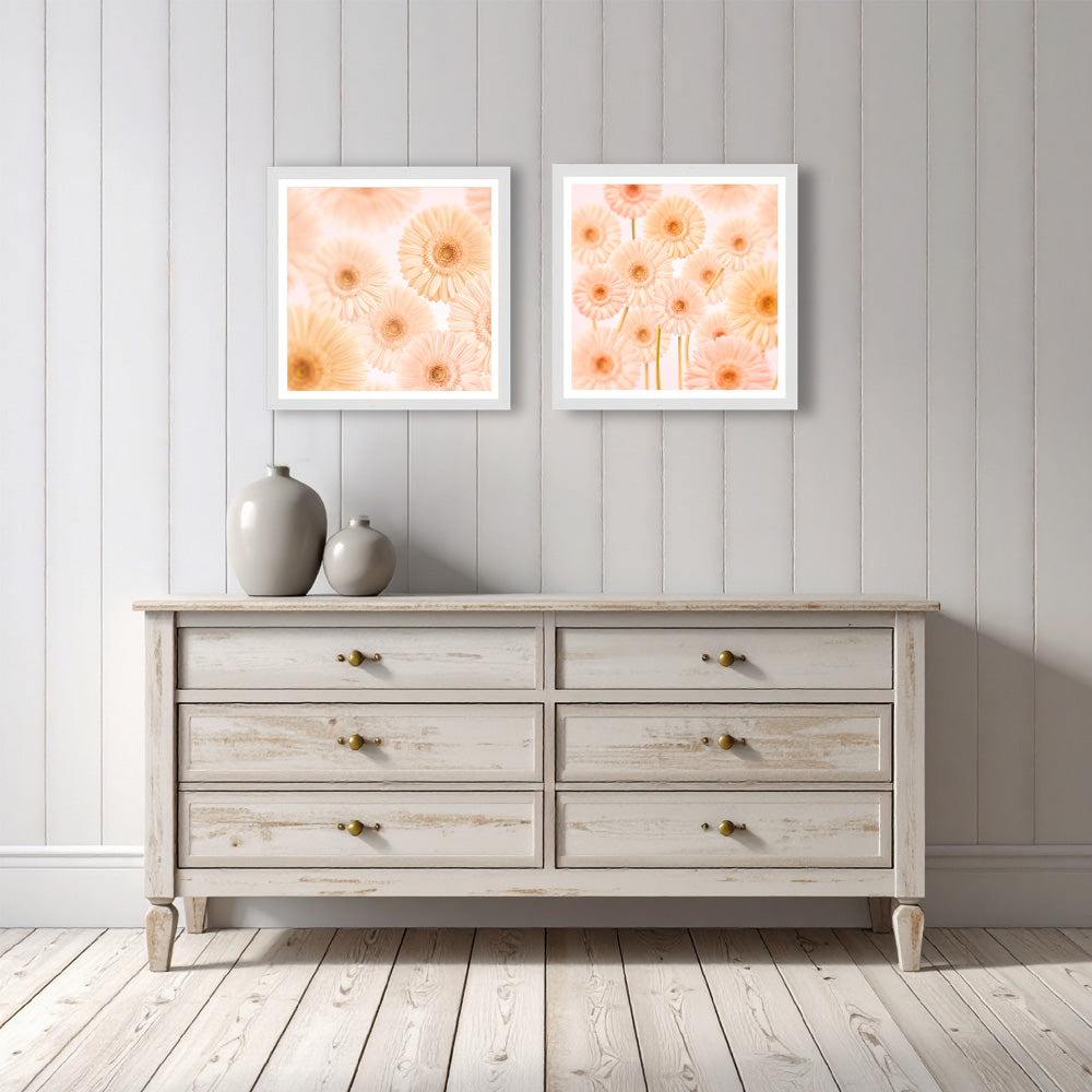 Gerbera Garden Print