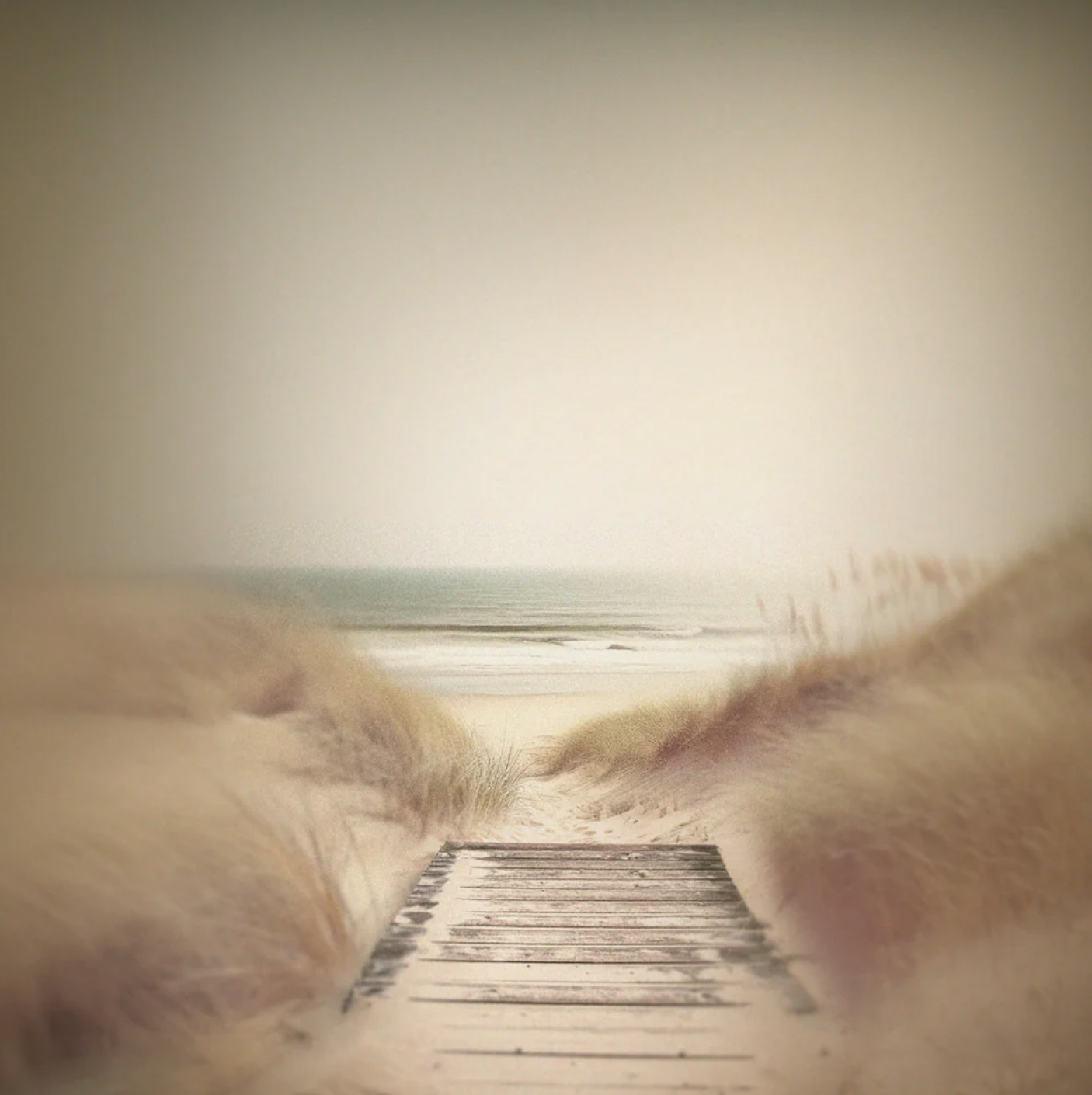 Boardwalk to the Beach Canvas Print