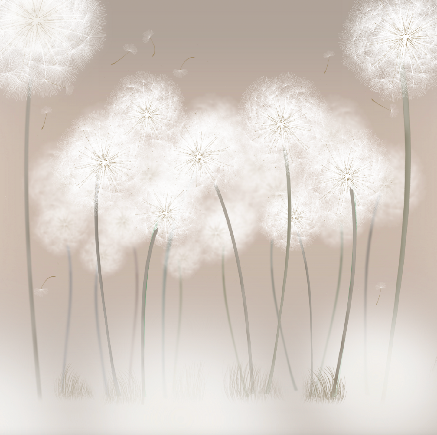 Dandelions Handwritten Card