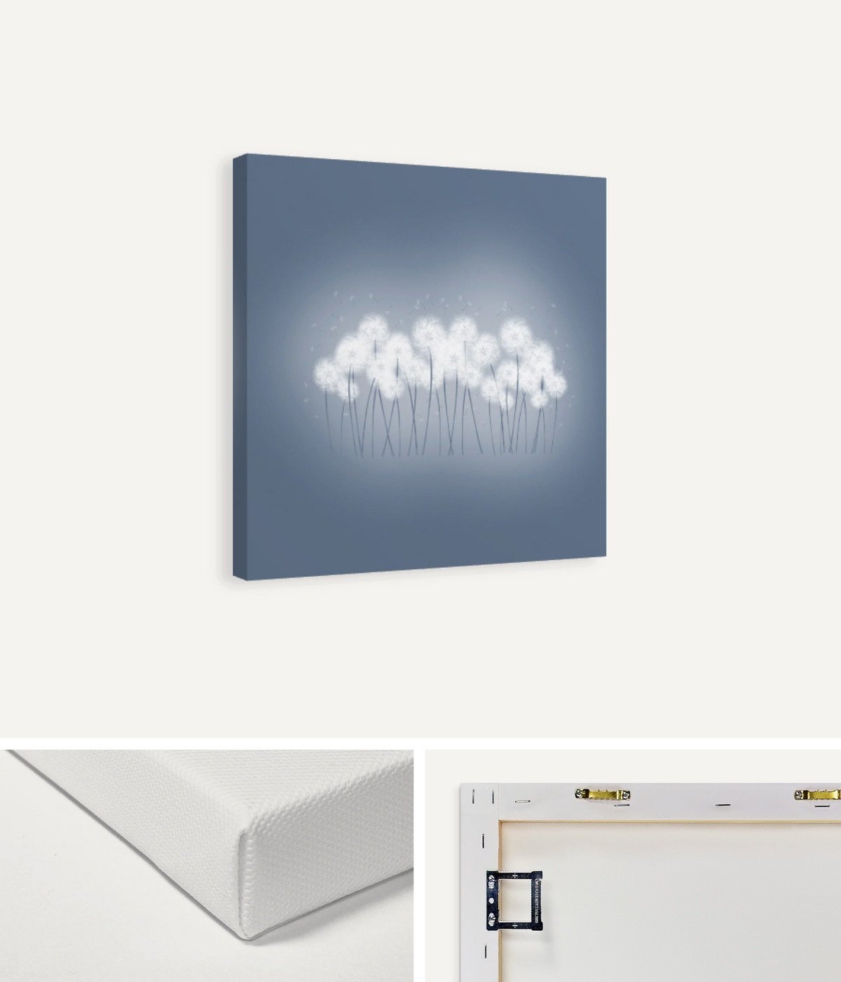 Dandelions Canvas Print