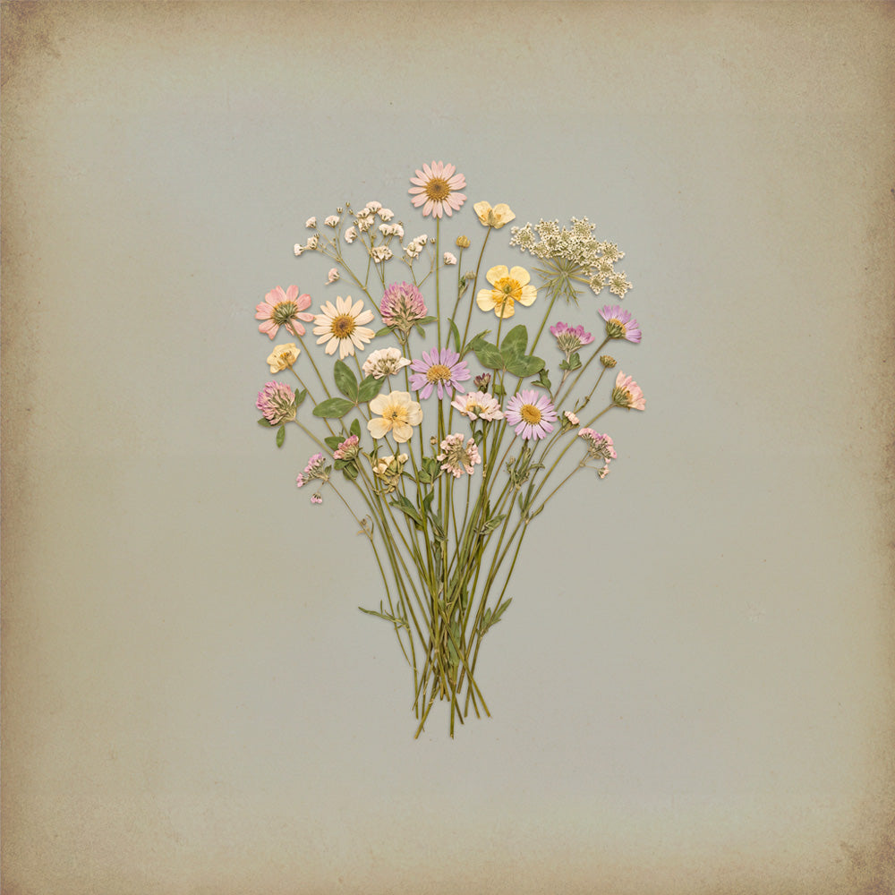 Pressed Wildflowers