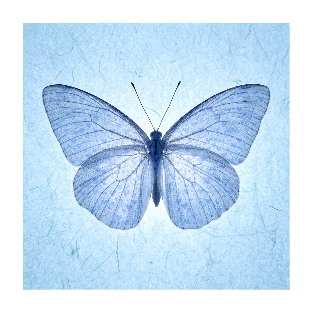 Blue Butterfly with Hearts card