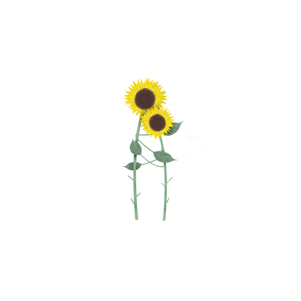 Sun Hugs