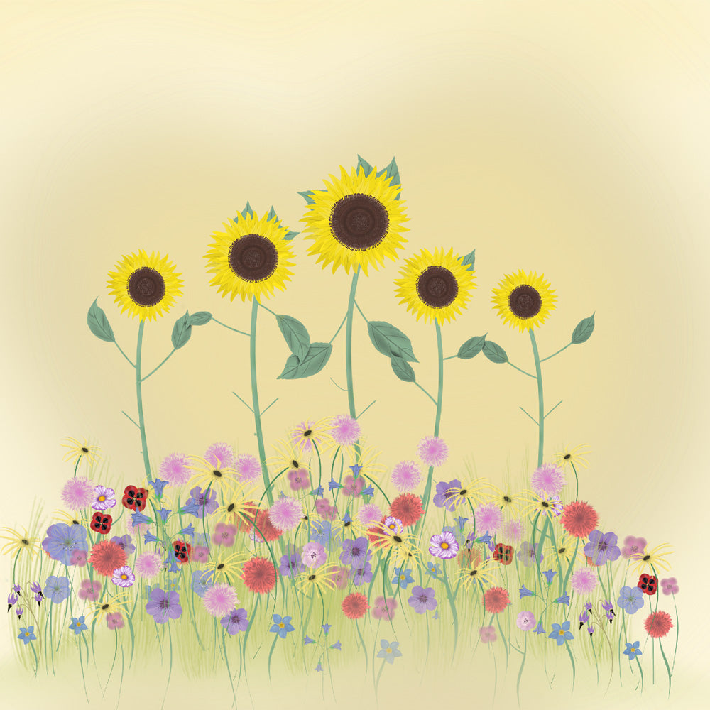 Sunshine social