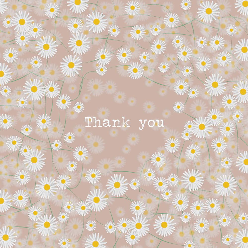Daisies soft pink