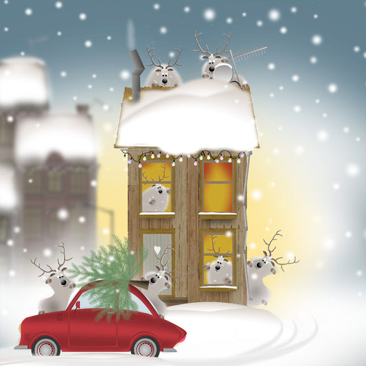 Bringing home the tree