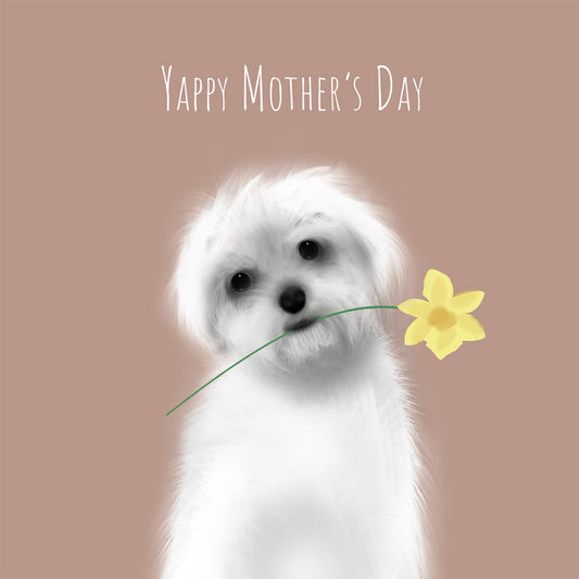 Yappy Mother's Day