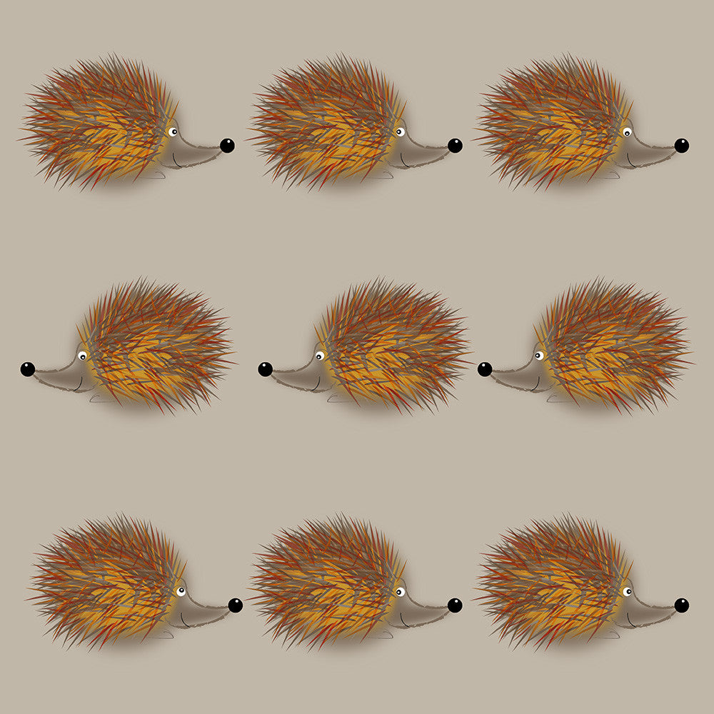 Hedgehog Jog