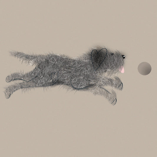 "I know, I know I can" – quirky greeting card featuring dogs