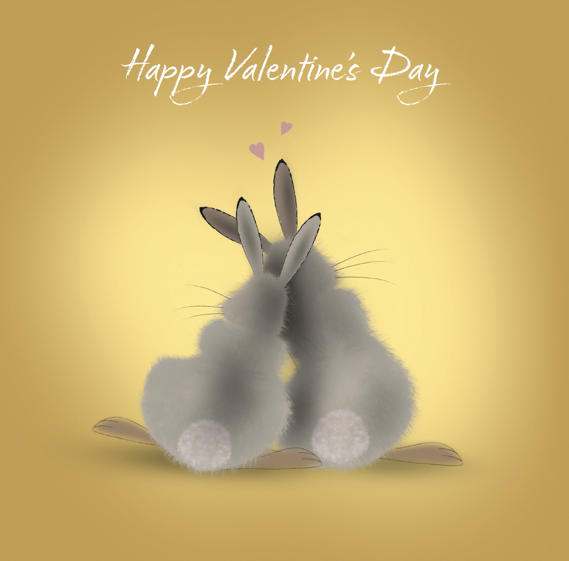 Cuddly Buns