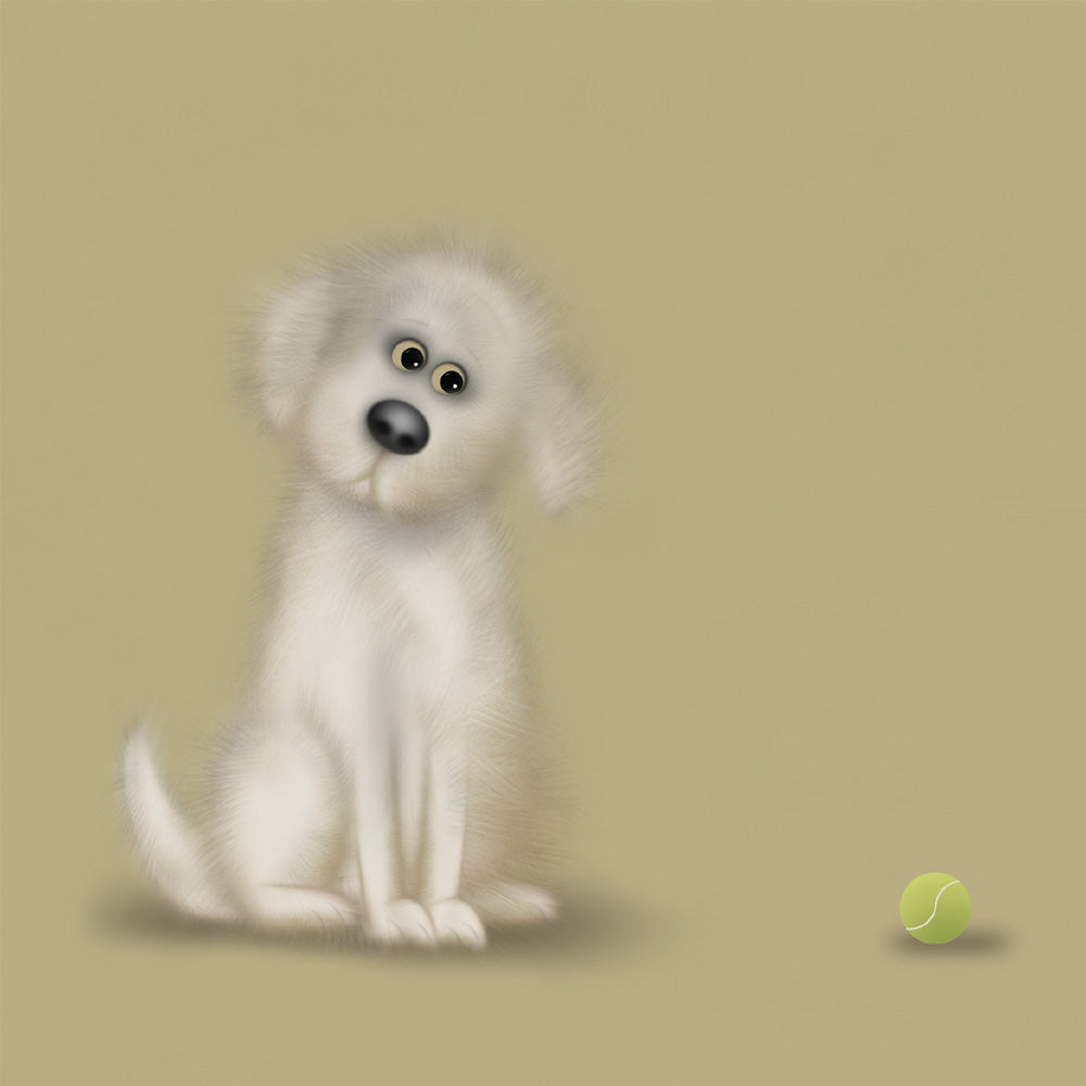 Paul and his ball