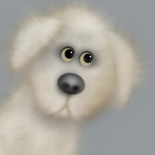 "You can't say no to me!"