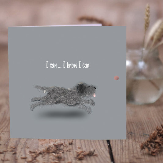 I can, I know I can!