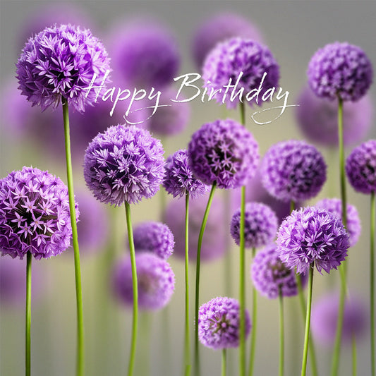 Alliums Birthday