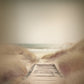 Boardwalk print