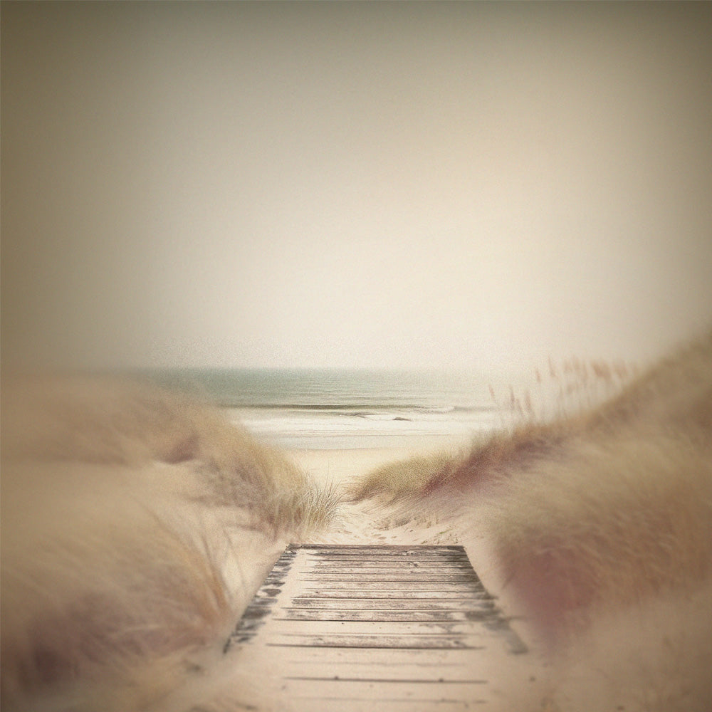 Boardwalk print