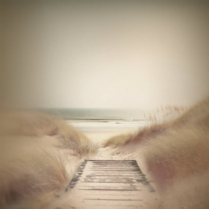 Boardwalk print