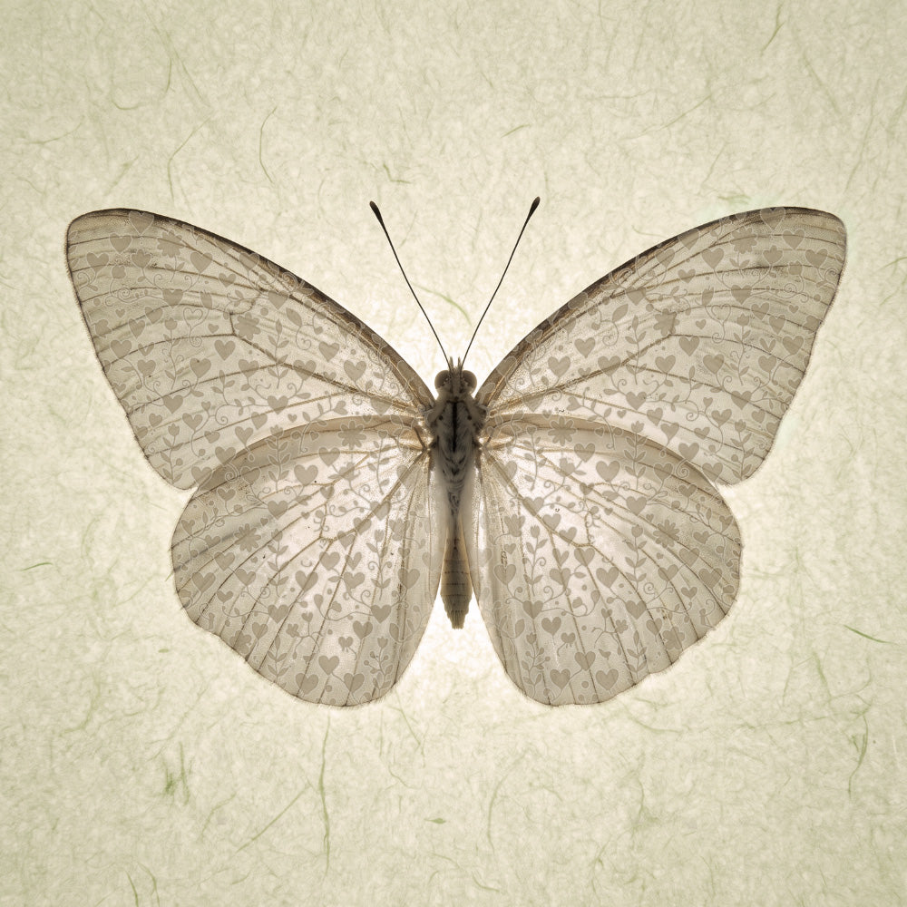 Butterfly with hearts  Print