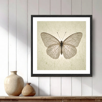 Butterfly with hearts  Print