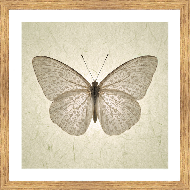 Oak Foil