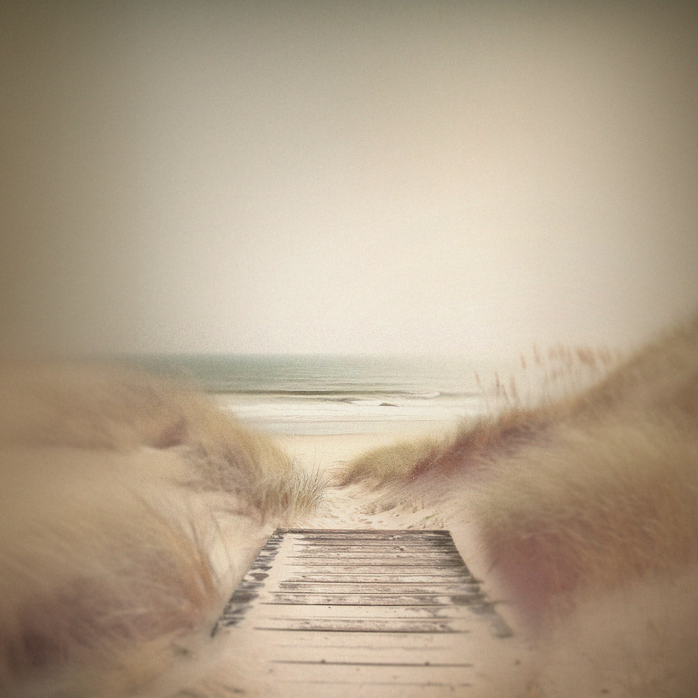 Boardwalk to the beach