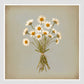 White Grain