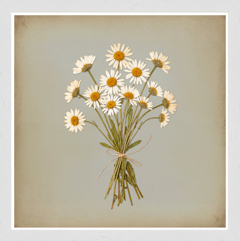 White Grain