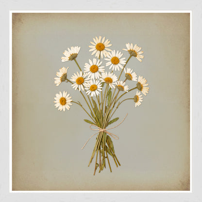 White Grain