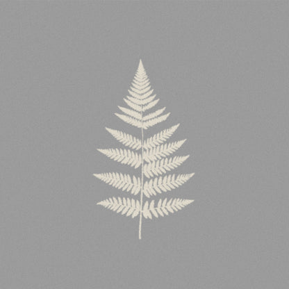 Fern on grey