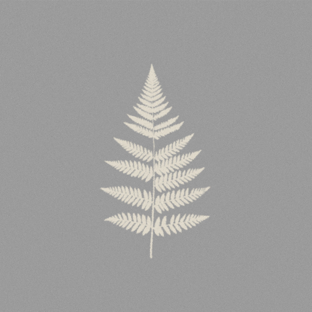 Fern leaf