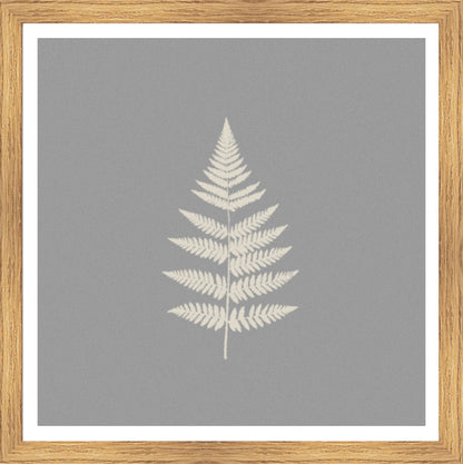 Oak Foil
