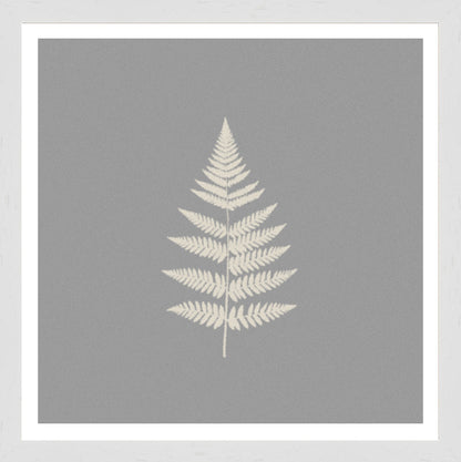 White Grain