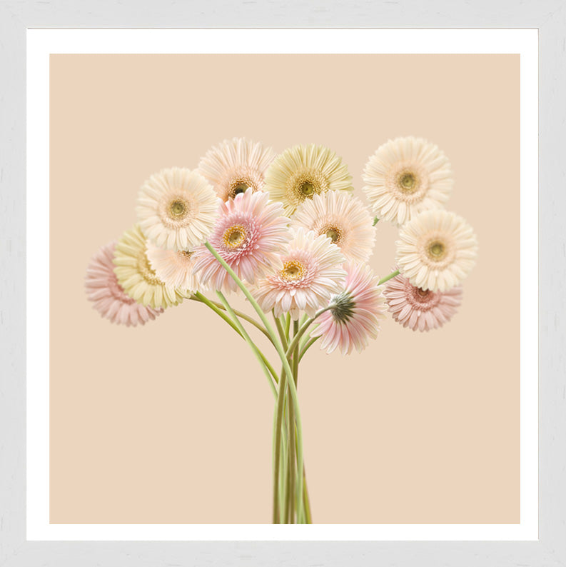 White Grain