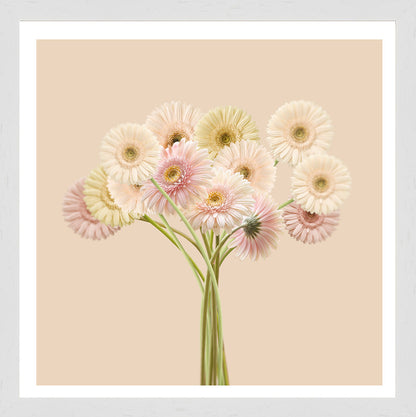 White Grain