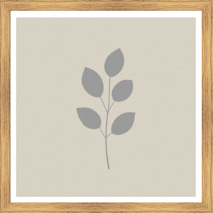 Oak Foil