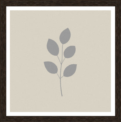 Wenge
