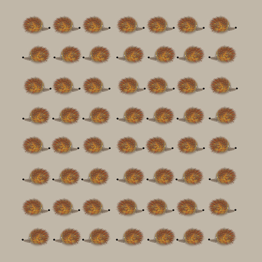 Hedgehog Jog print