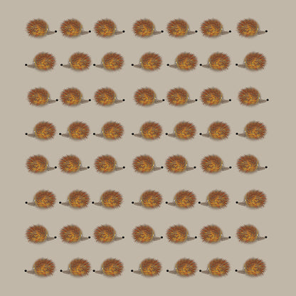 Hedgehog Jog print