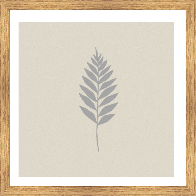 Oak Foil
